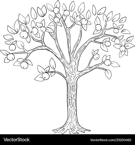 Apple tree coloring page black and white Vector Image