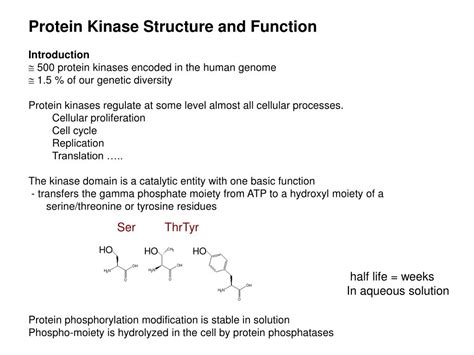 Ppt Protein Kinase Structure And Function Introduction Powerpoint Presentation Id3397956