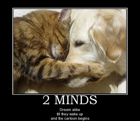 25 Funny Dog And Cat Demotivational Signs Dogtime