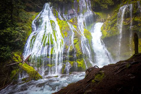 Panther Creek Falls Washington — Steemit