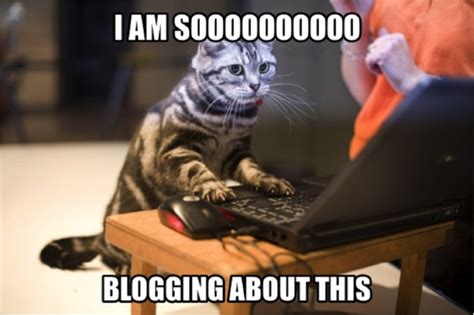 Funny Blogging Memes Munofore