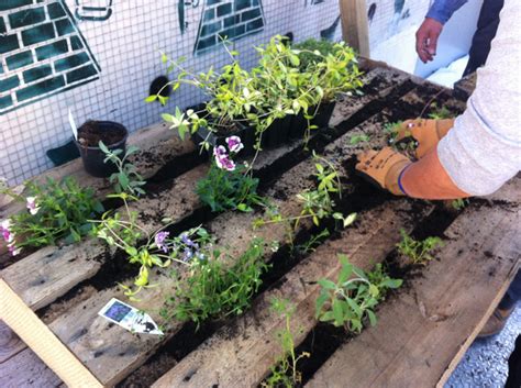Comment faire un joli petit jardin ? - Housekeeping Magazine : Idées