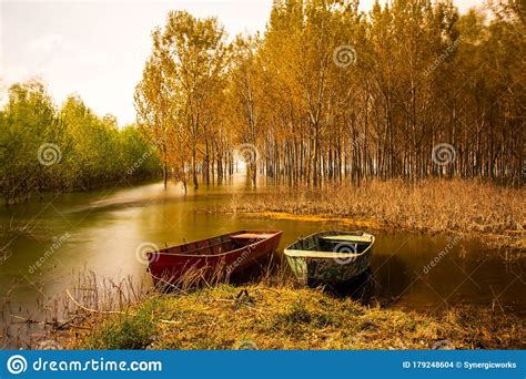 Abandoned Boats In The Lake In Autumn Forest Stock Photo Image Of