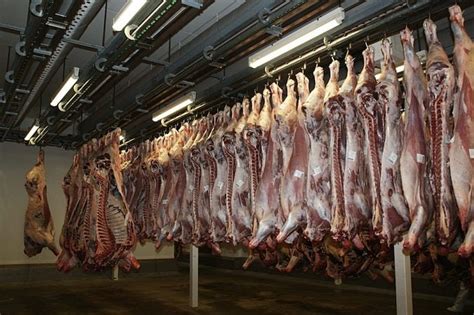 Reducir el consumo de carne clave para luchar contra el cambio climático