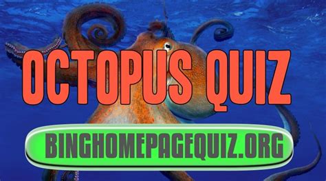 Octopus Quiz Bing Homepage Quiz