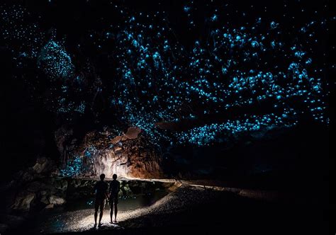 See One Of New Zealands Coolest Attractions The Glowing Waitomo Caves