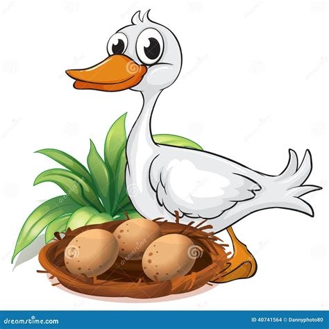 A Duck Beside Her Nest Stock Vector Illustration Of Greenery 40741564