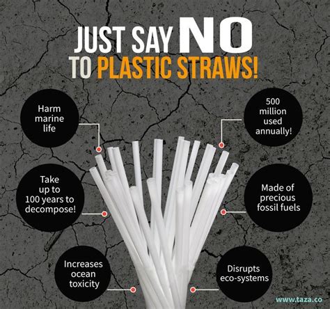 Say No To Plastic Straws Saynotoplastic Nostraws Saveourplanet