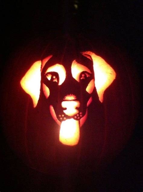 A Dog Carved Into A Pumpkin With Its Head Turned To Look Like It Is In