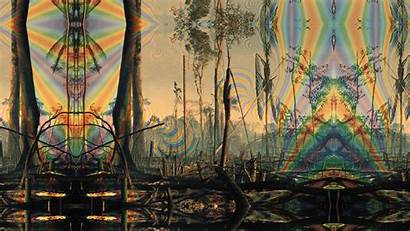 Trippy Psychedelic Trees Wallpapers Landscape Destroyed Rainbows