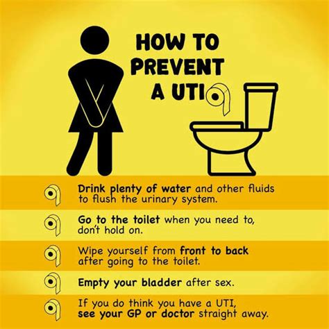 How Can You Prevent Yourself From Urinary Tract Infections While On The Go