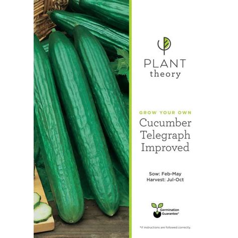 Telegraph Improved Cucumber Seeds By Plant Theory Pond Plants Store
