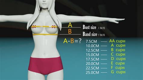 girls cup size comparison，which one is your favorite youtube