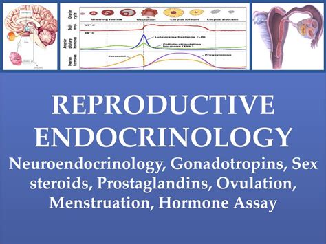 Ppt Reproductive Endocrinology Powerpoint Presentation Free Download