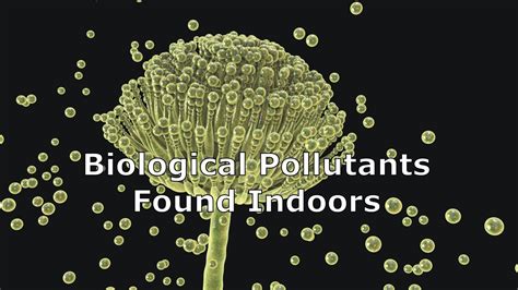 Biological Pollutants Found Indoors Youtube