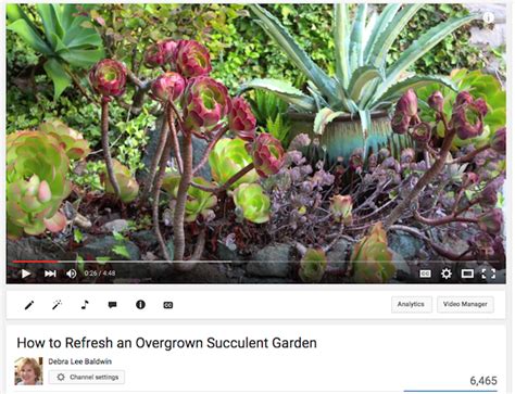 Debra Lee Baldwins Own Succulent Garden Its How I Define Joy