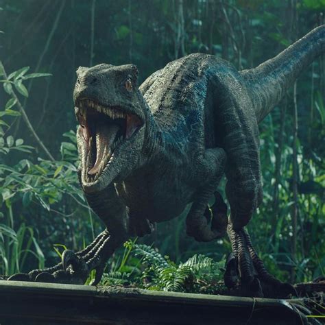 Whats Your Favorite Blue Scene The Vfx Here Are Absolutely Amazing Jurassic Park World