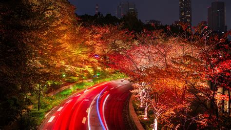 Japan Tokyo Roads Autumn Trees Night 4k Trees Wallpapers Tokyo
