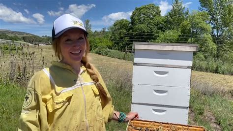 If the player is standing still and being followed by bees, the bees go toward the player, face the player, and rest on the ground. Minecraft Kids and Bees: Welcome to the Beehive - YouTube