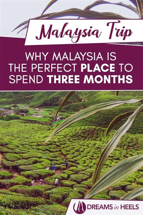 The months of the year, january, february, march, april, may, june, july, august, september, october, november, december, month, year. Malaysia Trip: Why Malaysia is the perfect place to spend ...