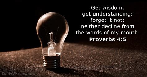 Proverbs 45 Bible Verse Kjv