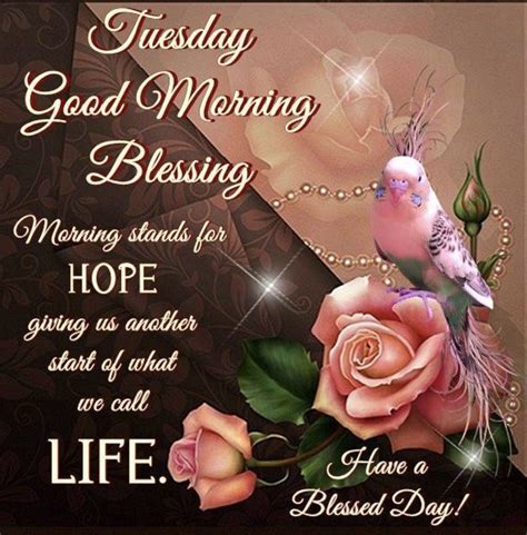 Tuesday Blessing Tuesday Morning Wishes Tuesday Quotes Good Morning
