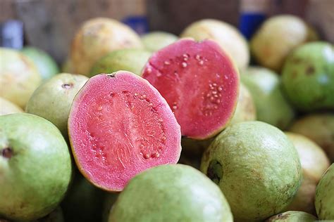 Pink Guava Our Guide To This Tasty Pink Tropical Fruit Awani Bali