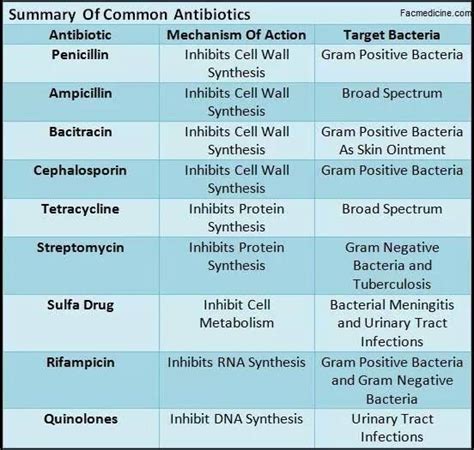 Antibiotics And What They Dogreat Chart To Have For Pharm And I