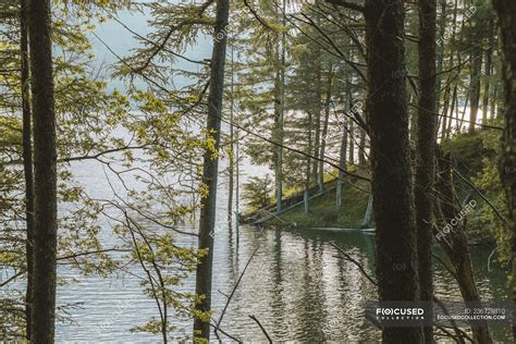 Water Surface Near Shore With Trees — Aqua Wonderful Stock Photo