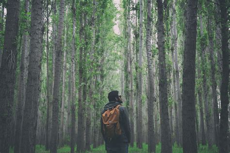 Is The Forest Breathing Man Captures Incredible Footage Of The Forest