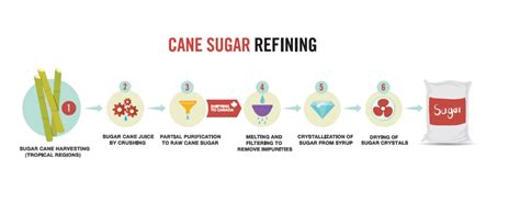 The Canadian Sugar Institute Sugar Industry Sugar Beet Sugarcane