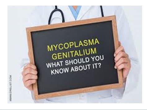The Trichomoniasis And Mycoplasma Genitalium Syndrome Treatment And