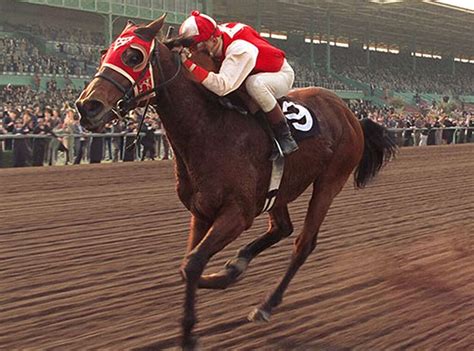 The Films Which Tell The Tales Of Famous Race Horses Horse Racing