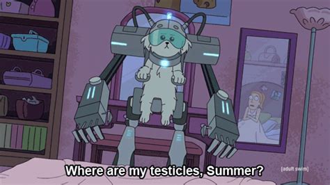 Where Are My Testicles Summer Rick And Morty Know Your Meme