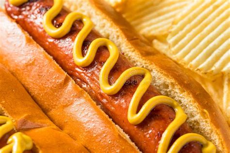 Homemade American Hot Dog With Mustard Stock Photo Image Of Yellow