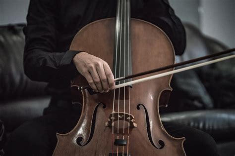 Can A Violinist Easily Learn How To Play The Cello Our Culture