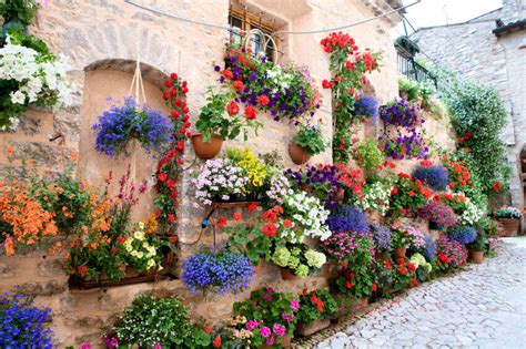 It blooms nonstop throughout the summer and grows 12 inches tall and 16 inches wide. 70 Hanging Flower Planter Ideas (PHOTOS and TOP 10) - Home ...