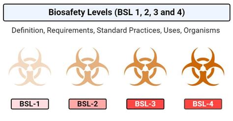 Biosafety Levels Bsl 1 Bsl 2 Bsl 3 And Bsl 4 Biosafety Level