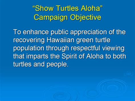 Laniakea Oahu Paradise For Turtle Watchers