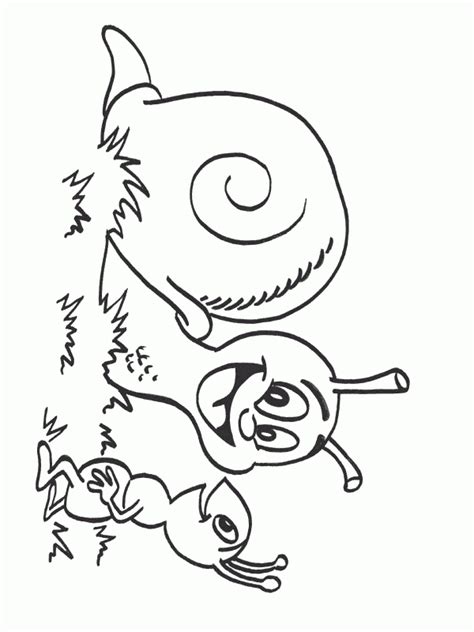 Hugo L'Escargot Dessin Dauphin dedans Coloriage Hugo L'Escargot