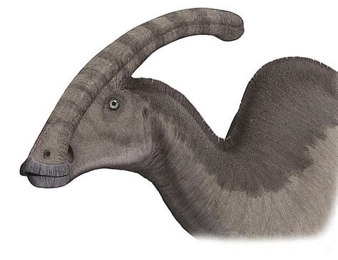 Facts About Parasaurolophus