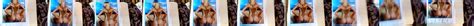 Rebecca Romijn Naakt Uitgelekte Seksvideo S In En Naaktfoto S Xhamster My Xxx Hot Girl