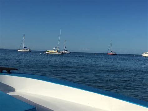 Best Charters (Aguadilla) - 2021 All You Need to Know Before You Go