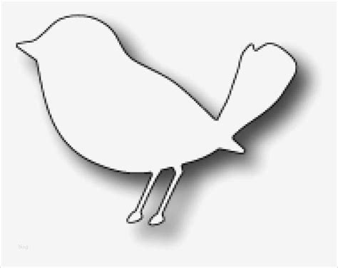 Die malvorlage storch sind in verschiedene schwierigkeitsstufen erhältlich. Vogel Vorlage Zum Ausschneiden Angenehm Memory Box ...
