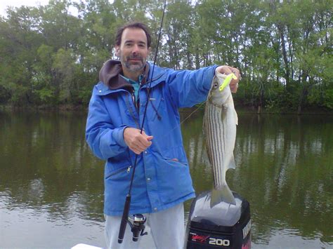 Tar Pam Guide Service Roanoke River Striper Fishing Charters