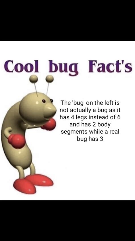 Cool Unepic Bug Fact Rcoolbugfacts