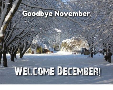 Hello December Banner Welcome December Hello December Welcome