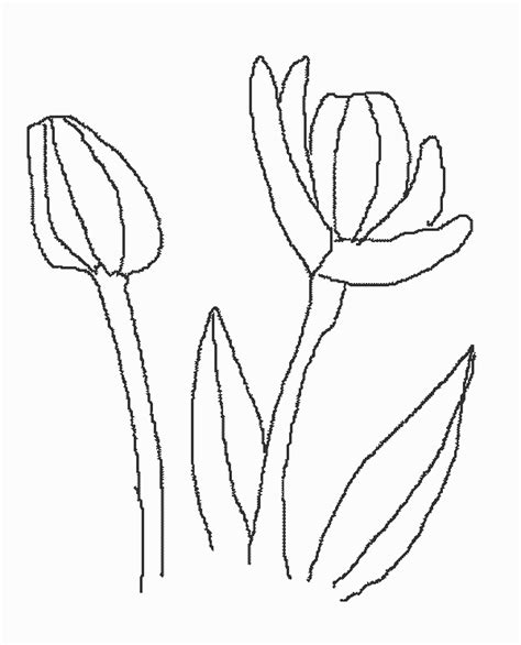 spring coloring pages  kids updated