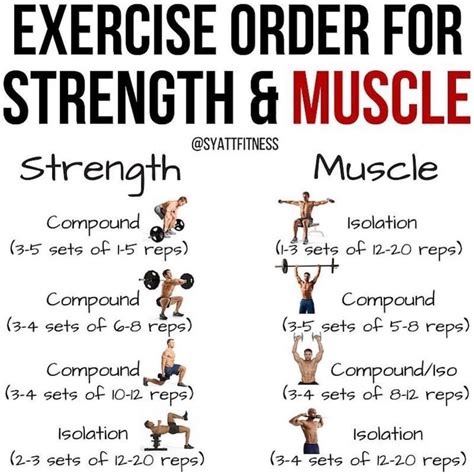 🍕exercise Order For Strength And Muscle🍕 🦄before We Begin Let Us