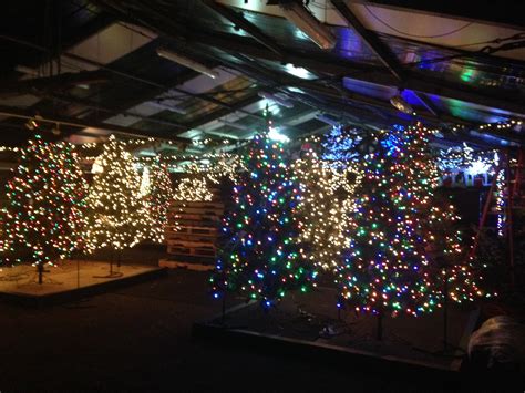 But have you ever wondered where the tradition comes from? Stew Leonard Christmas Tree / Stew Leonard S Serves Up ...